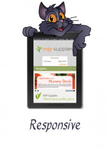 Responsive Websites